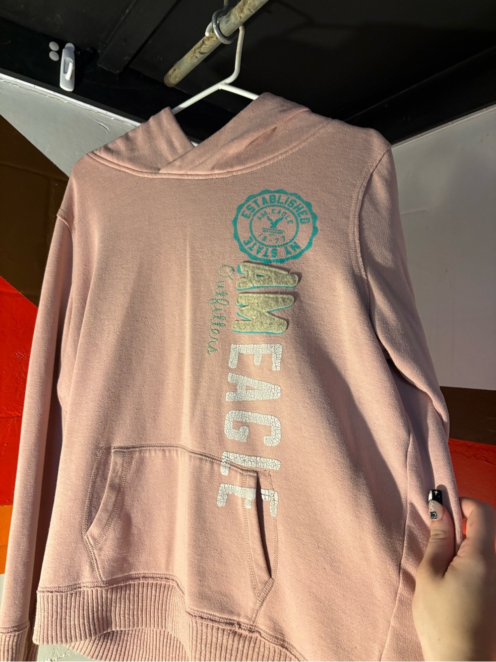 American Eagle Outfitters Light Pink Graphic Pullover Hoodie with Teal Logo